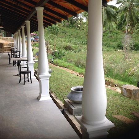 Explore Sinharaja Rain Forest Tour Camp Dombagoda Exterior photo