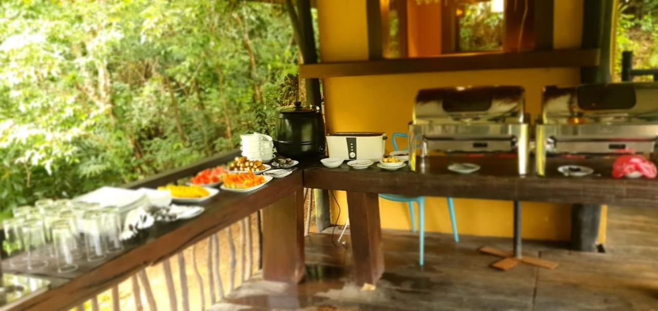 Explore Sinharaja Rain Forest Tour Camp Dombagoda Exterior photo