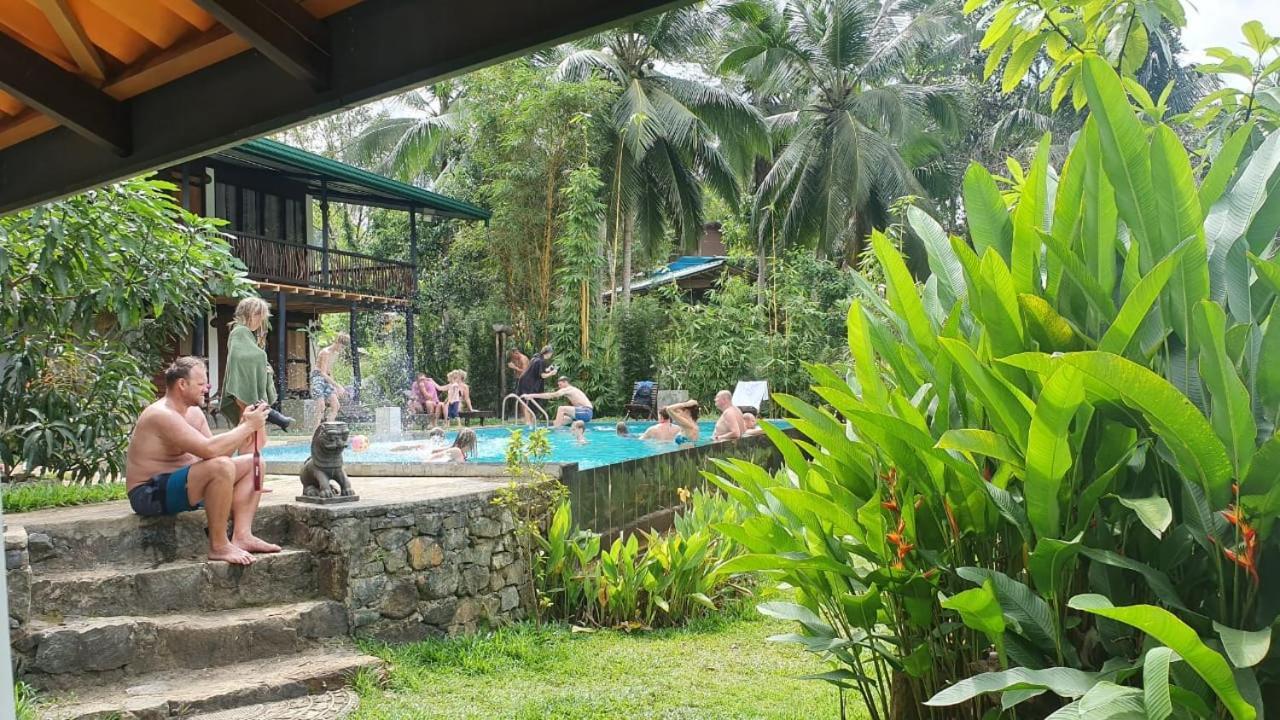 Explore Sinharaja Rain Forest Tour Camp Dombagoda Exterior photo