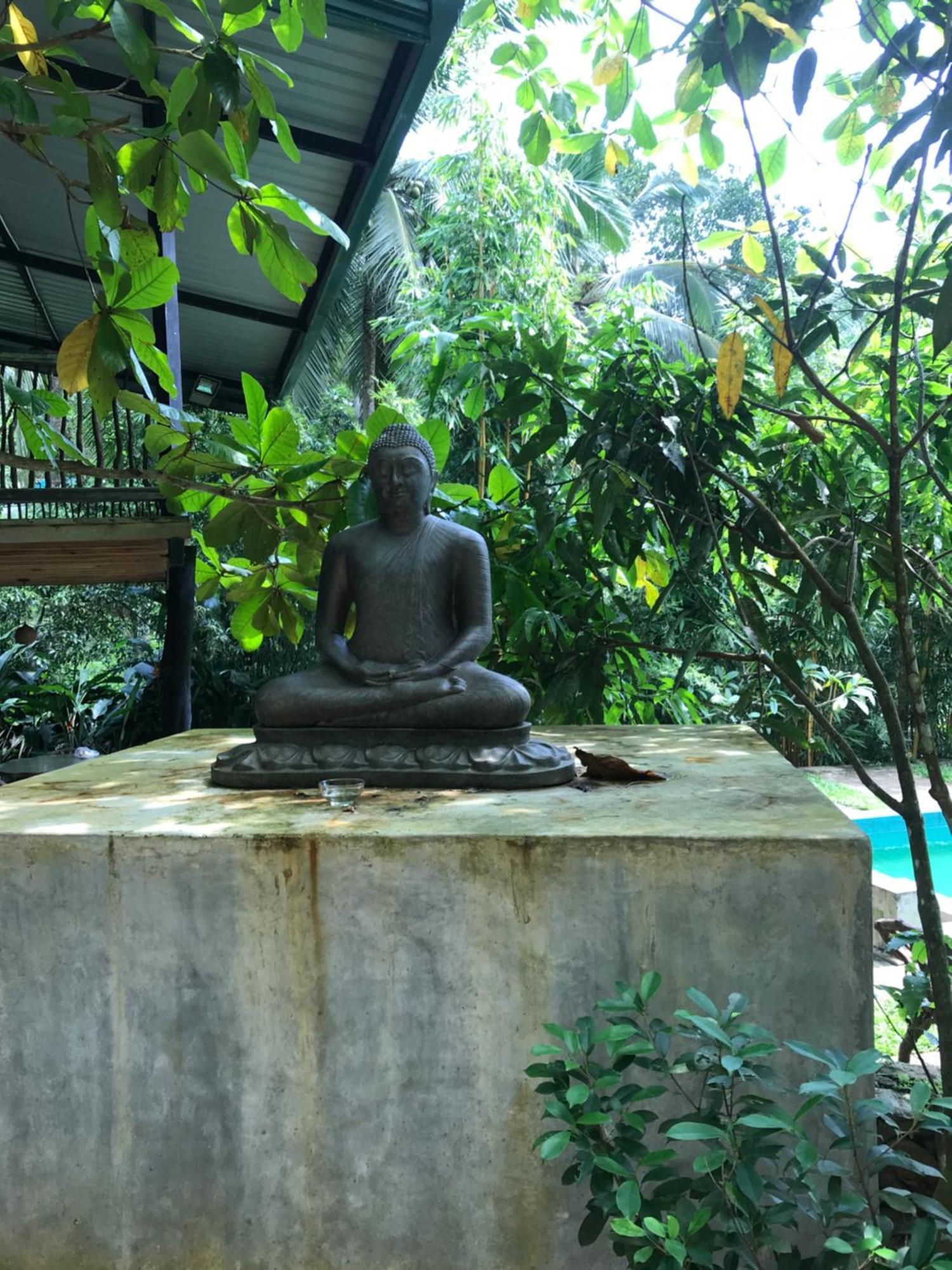 Explore Sinharaja Rain Forest Tour Camp Dombagoda Exterior photo