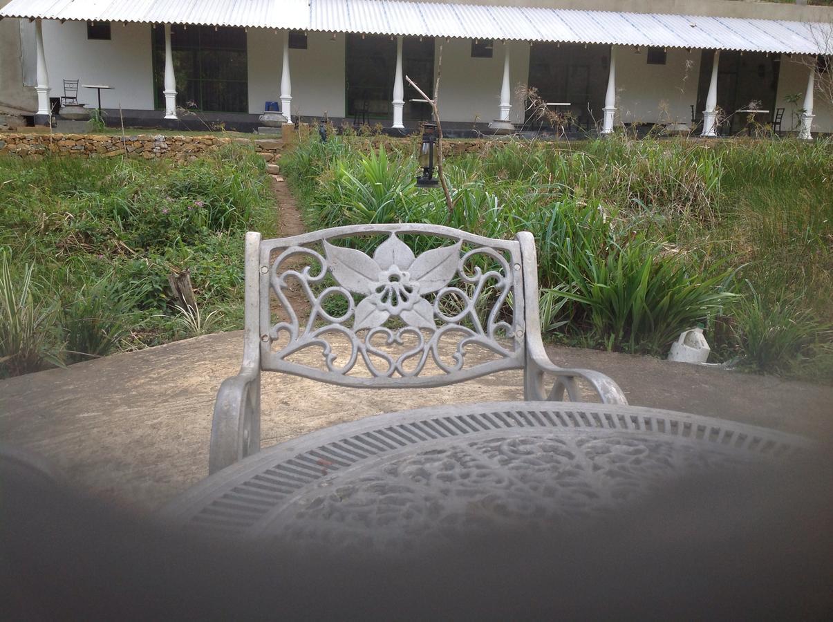 Explore Sinharaja Rain Forest Tour Camp Dombagoda Exterior photo