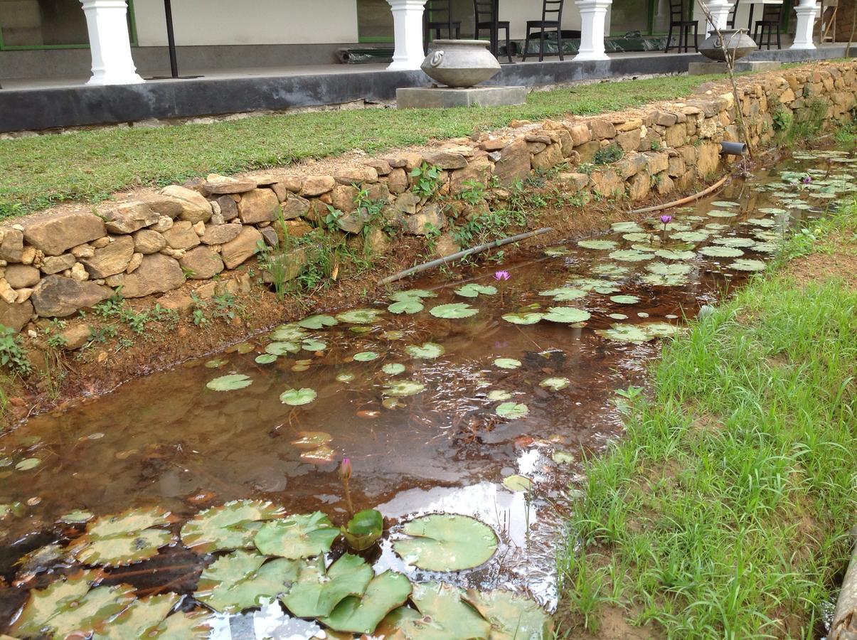 Explore Sinharaja Rain Forest Tour Camp Dombagoda Exterior photo