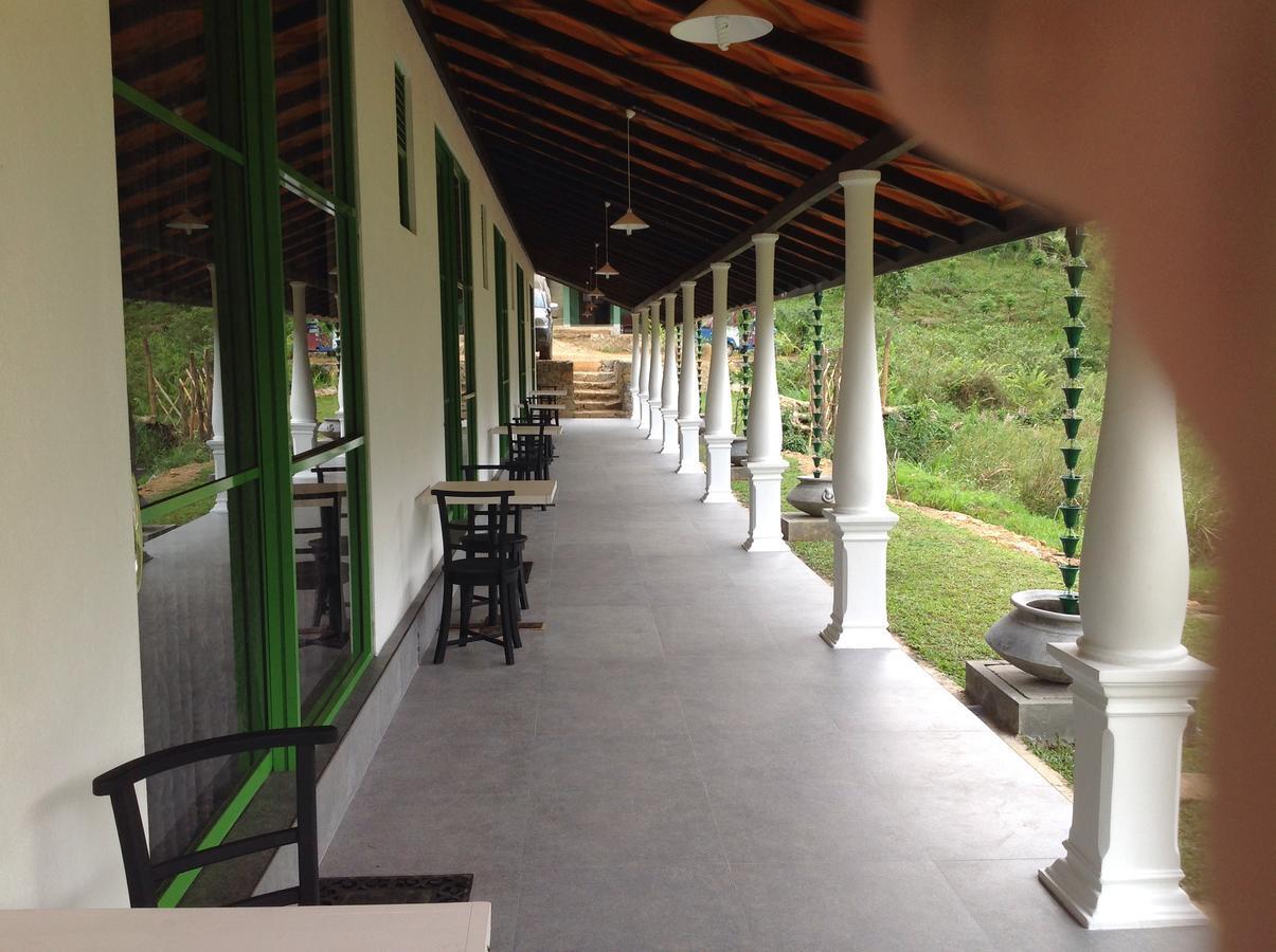 Explore Sinharaja Rain Forest Tour Camp Dombagoda Exterior photo