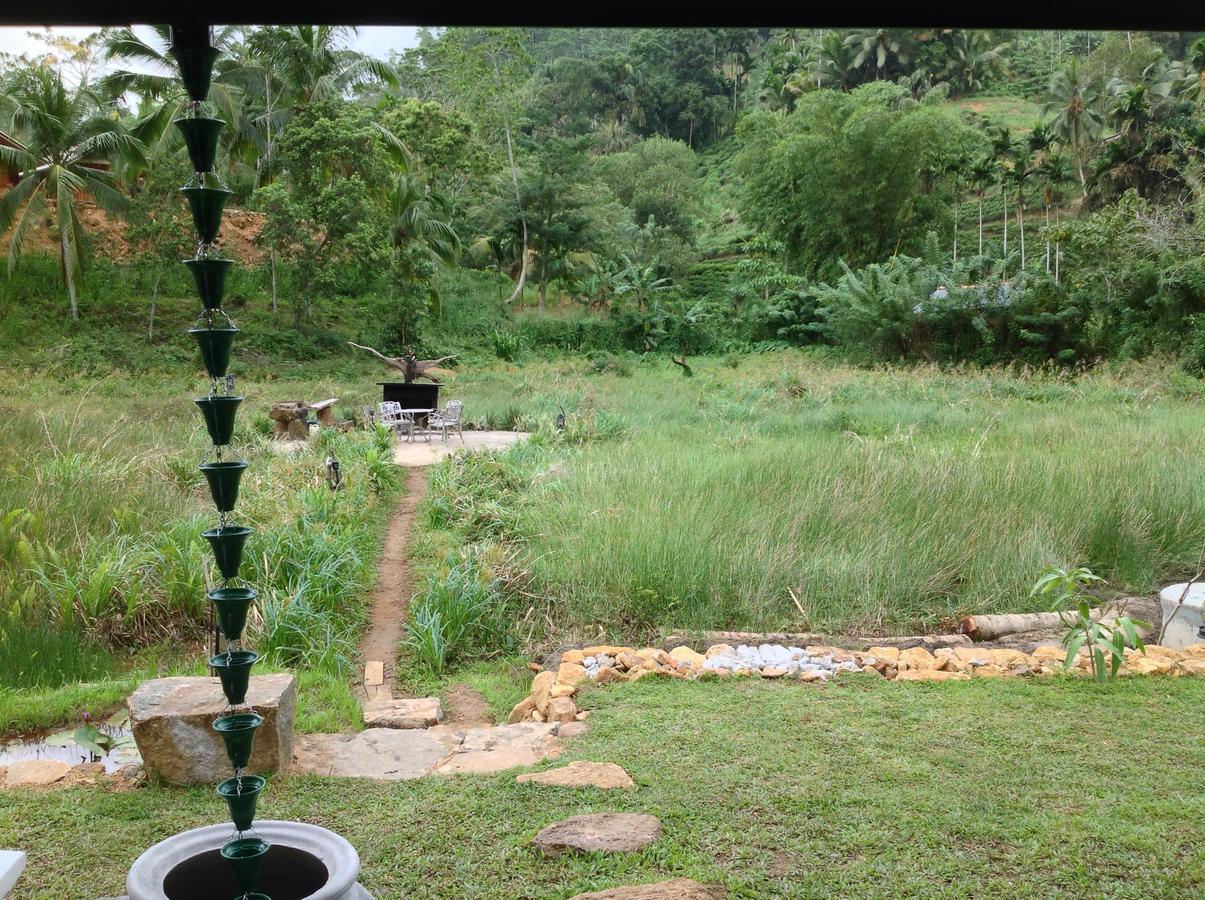 Explore Sinharaja Rain Forest Tour Camp Dombagoda Exterior photo