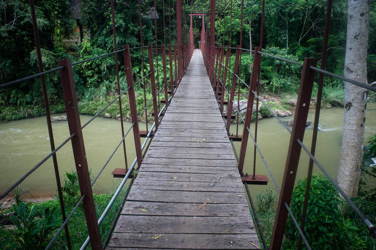 Explore Sinharaja Rain Forest Tour Camp Dombagoda Exterior photo