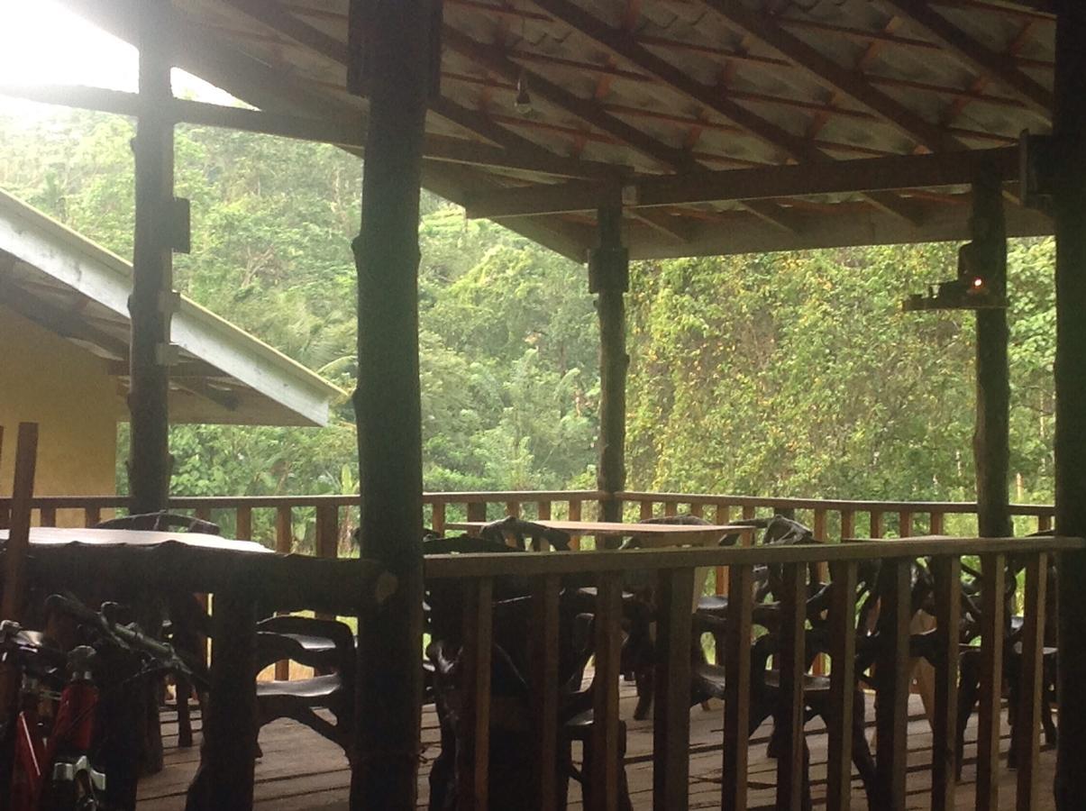 Explore Sinharaja Rain Forest Tour Camp Dombagoda Exterior photo