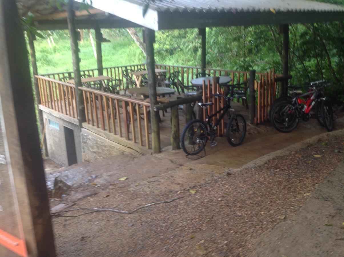 Explore Sinharaja Rain Forest Tour Camp Dombagoda Exterior photo