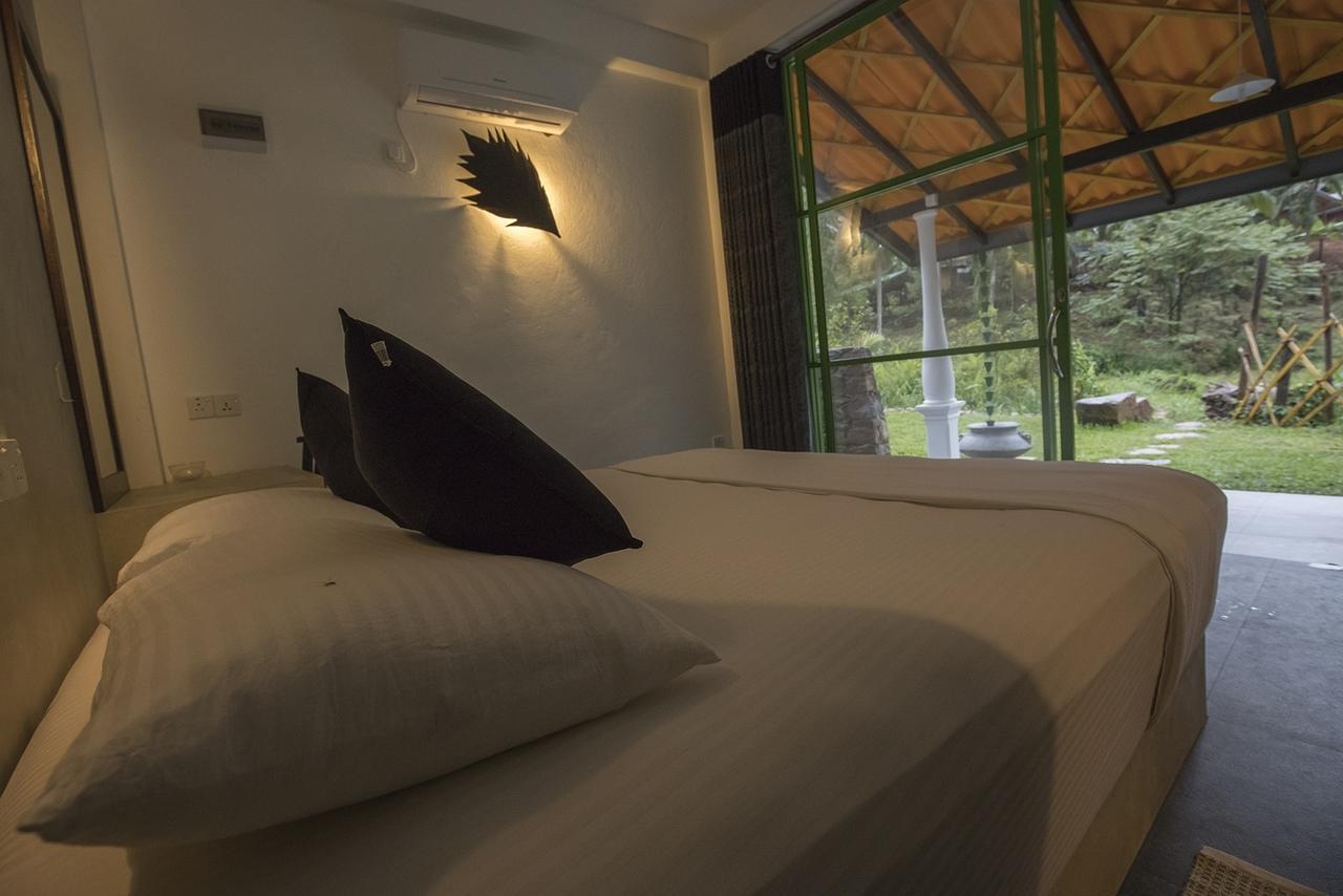 Explore Sinharaja Rain Forest Tour Camp Dombagoda Exterior photo