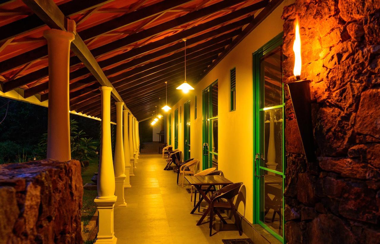 Explore Sinharaja Rain Forest Tour Camp Dombagoda Exterior photo