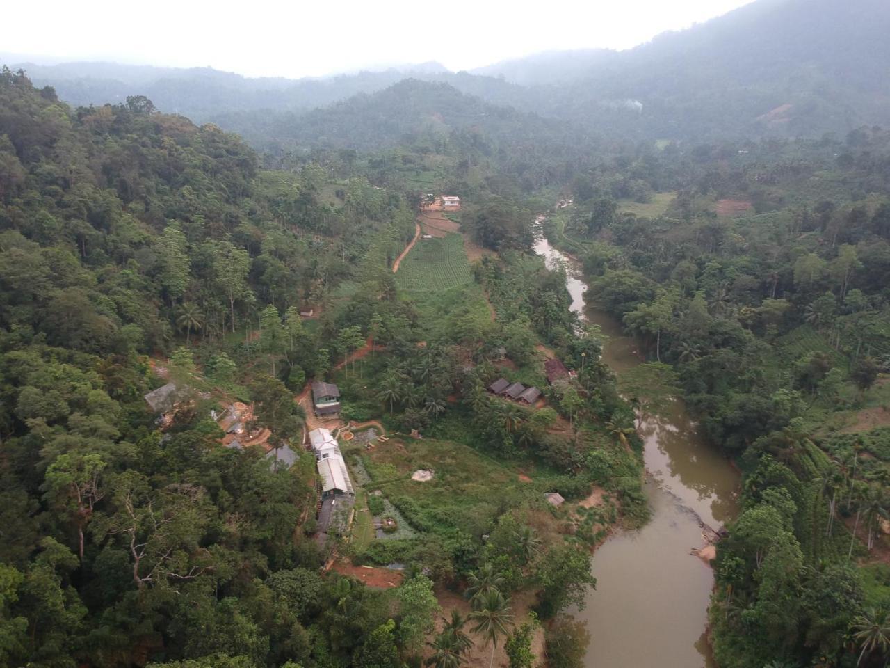 Explore Sinharaja Rain Forest Tour Camp Dombagoda Exterior photo